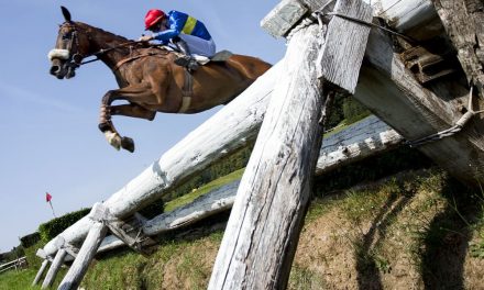 Le Lion D’Angers Horse Racing Tips Today – 31/03